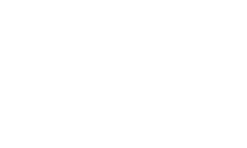 CDcruz Logo